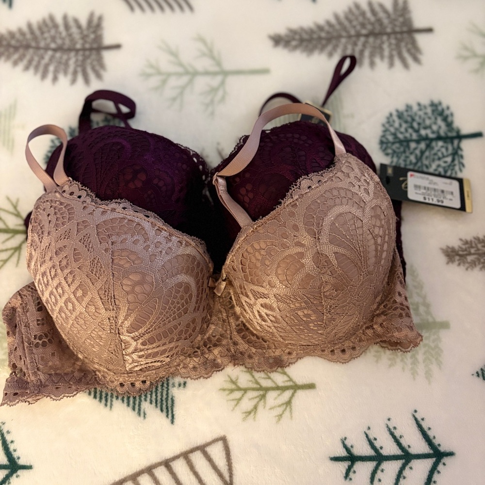 Elegant Lace Women’s Bra Set - Purple and Tan